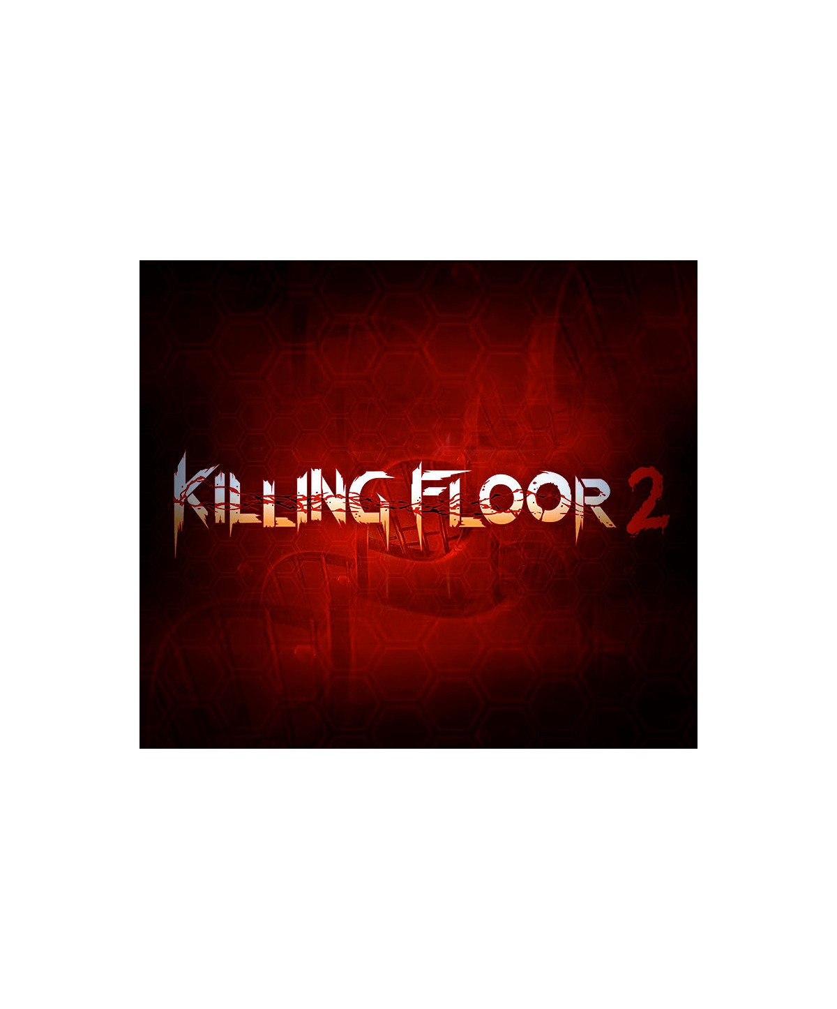 Killing Floor 2 BR Steam Key 